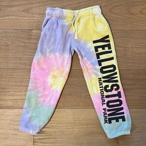 Yellowstone Kids Tie-Dye Joggers